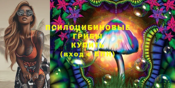 стафф Аркадак